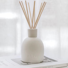 Load image into Gallery viewer, Sweet Dewberry & Clove Diffuser