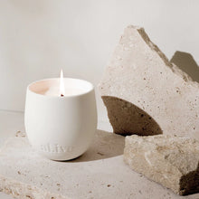 Load image into Gallery viewer, Sweet Dewberry & Clove Soy Candle