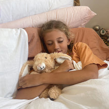 Load image into Gallery viewer, Plush -Heatable Bunny