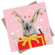 PopcornBlue A Bilby Christmas