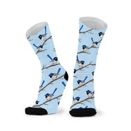 Blue Wren
