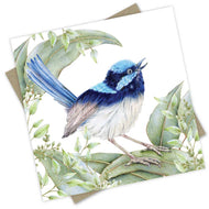 PopcornBlue Fairy Wren