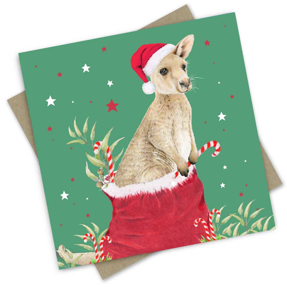 PopcornBlue  Kangaroo Santa