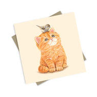 PopcornBlue Orange Floof Noddle Kitty