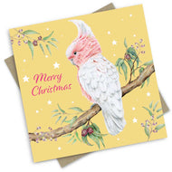 PopcornBlue A Merry Pink Cockatoo