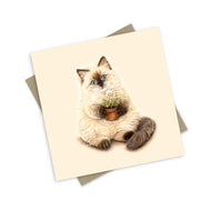 PopcornBlue Ragdoll Furry Purry Cream Puff