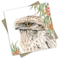 PopcornBlue Tilda the Tawny Frogmouth