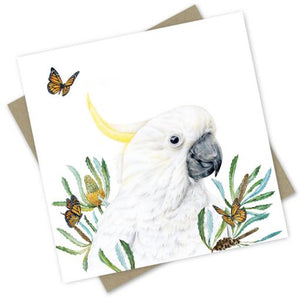 PopcornBlue Nullah - White Cockatoo