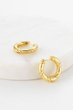 Load image into Gallery viewer, Alannah Hoop - Gold Earrings
