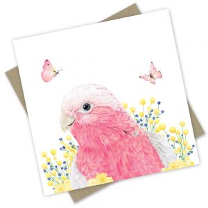PopcornBlue Mavis the Galah