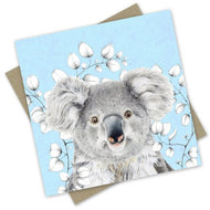 PopcornBlue Koala Blue Gum